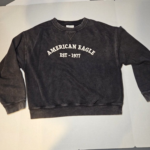 American Eagle Outfitters Sweaters - American Eagle Logo Crewneck Faded Gray Medium Sweatshirt
